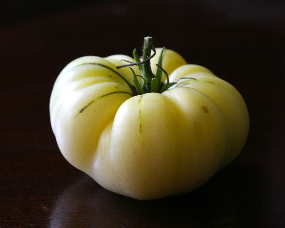Tomato: Great White