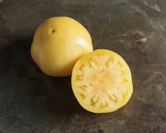 Tomato: Great White
