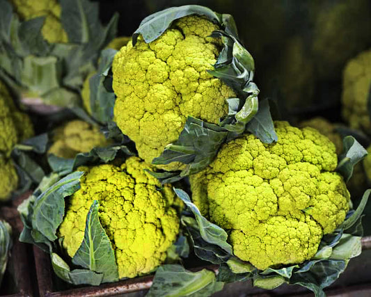Cauliflower: Green Macerata