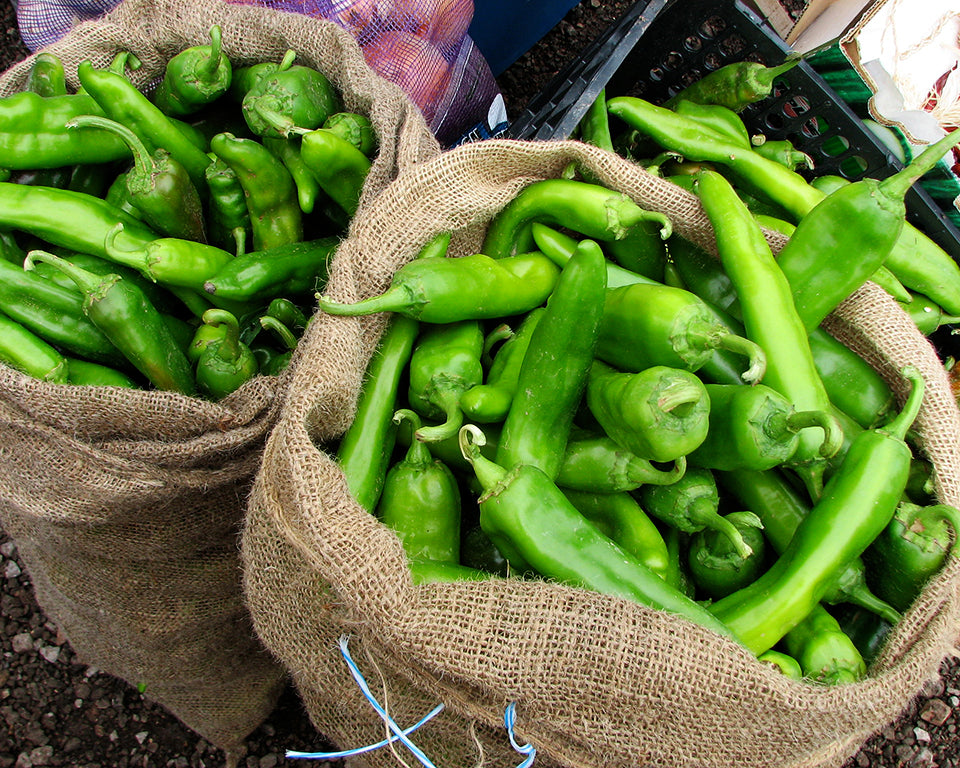 Pepper, Hot: Hatch *Overstock*