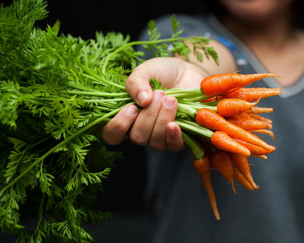 Carrot: Imperator