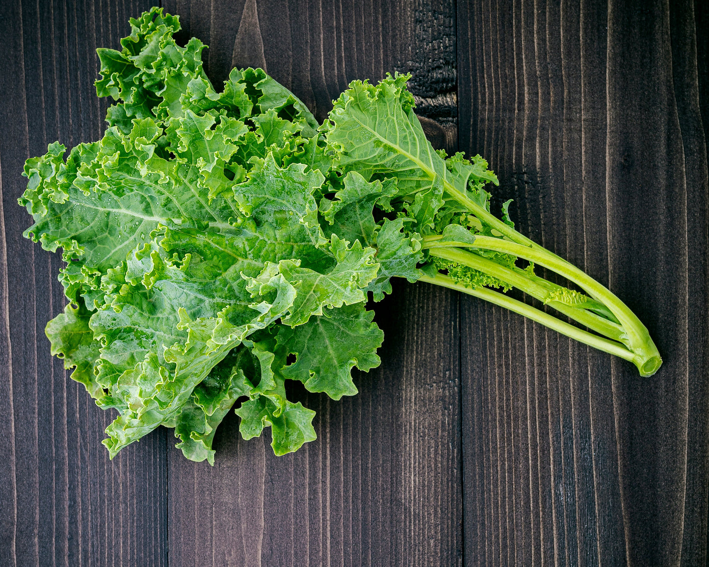 Kale: Blue Curled Scotch