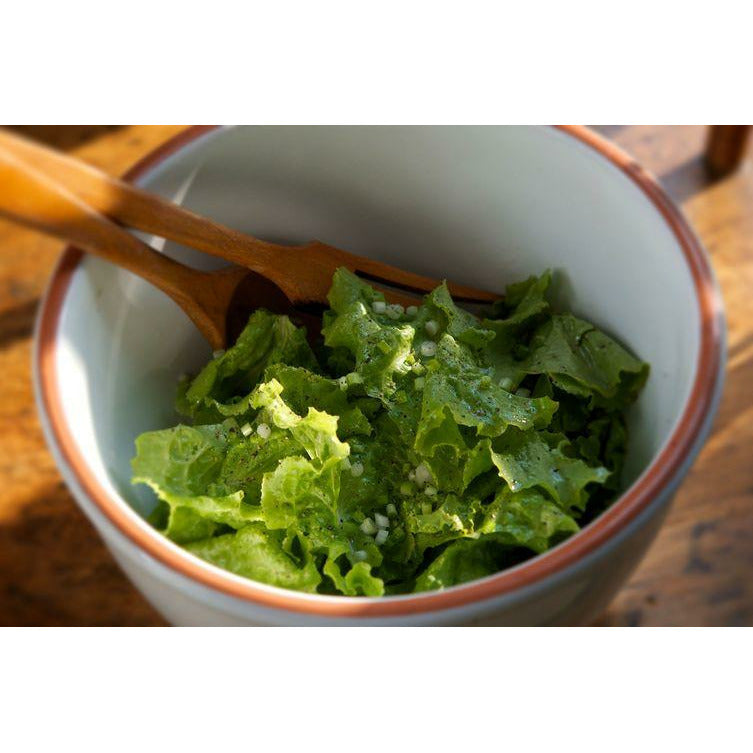 Lettuce Seeds: Great Lakes 118 (6564334370971)