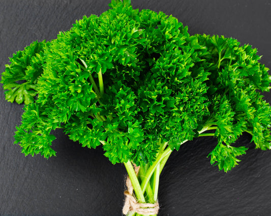 Herb, Parsley: Moss Curled *Discontinue*