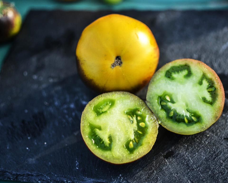 Tomato: Muddy Waters