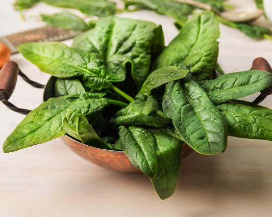 Spinach: Noble Giant