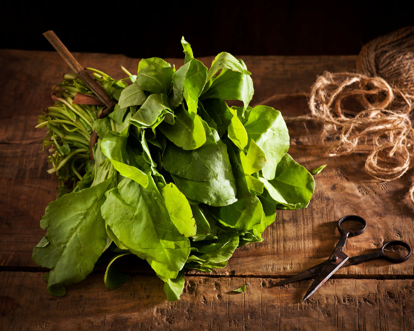 Spinach: Noble Giant