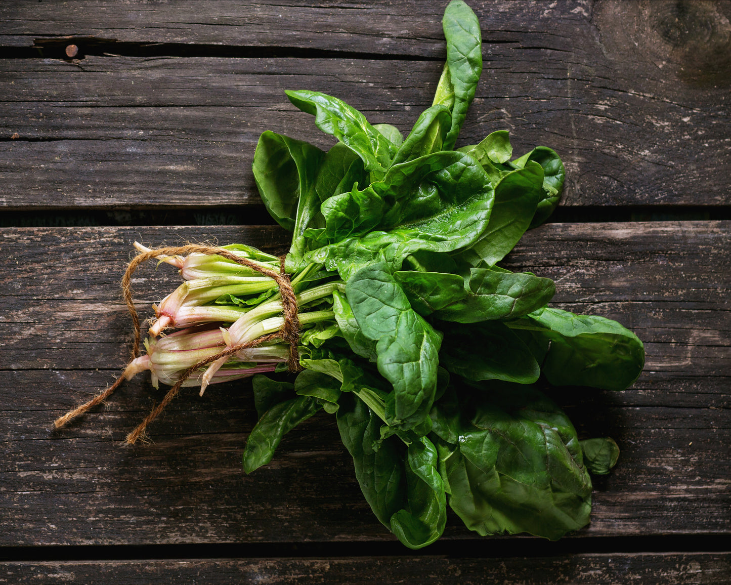 Spinach: Noble Giant