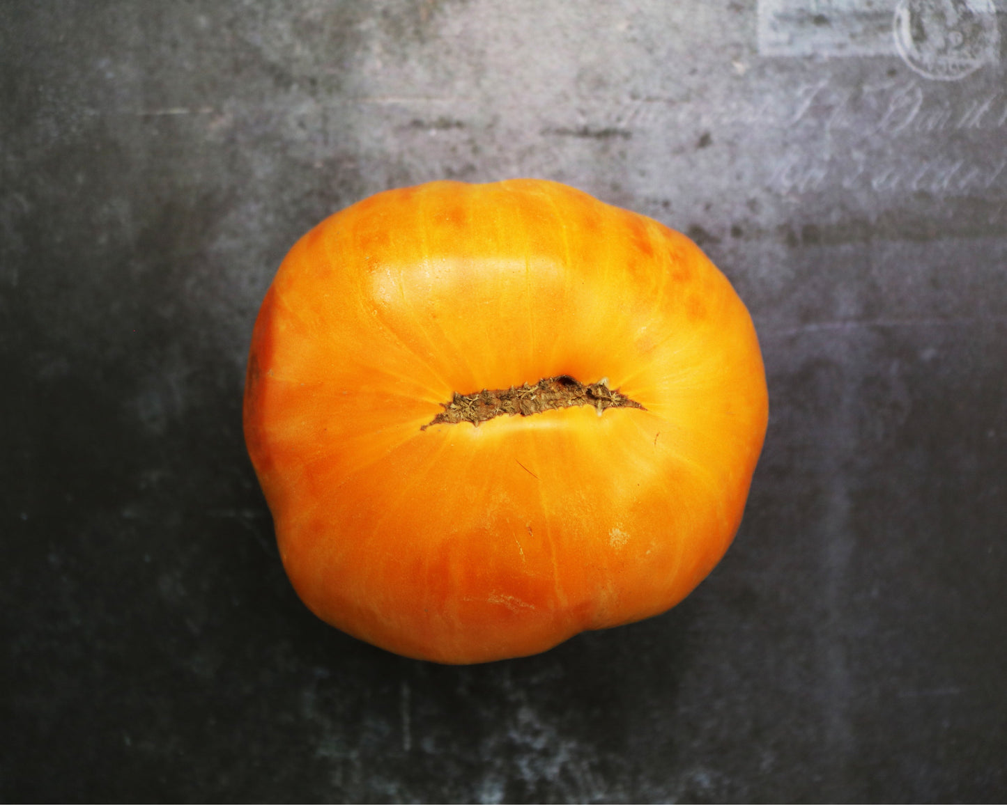 Tomato: Orange Jazz