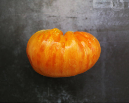 Tomato: Orange Jazz