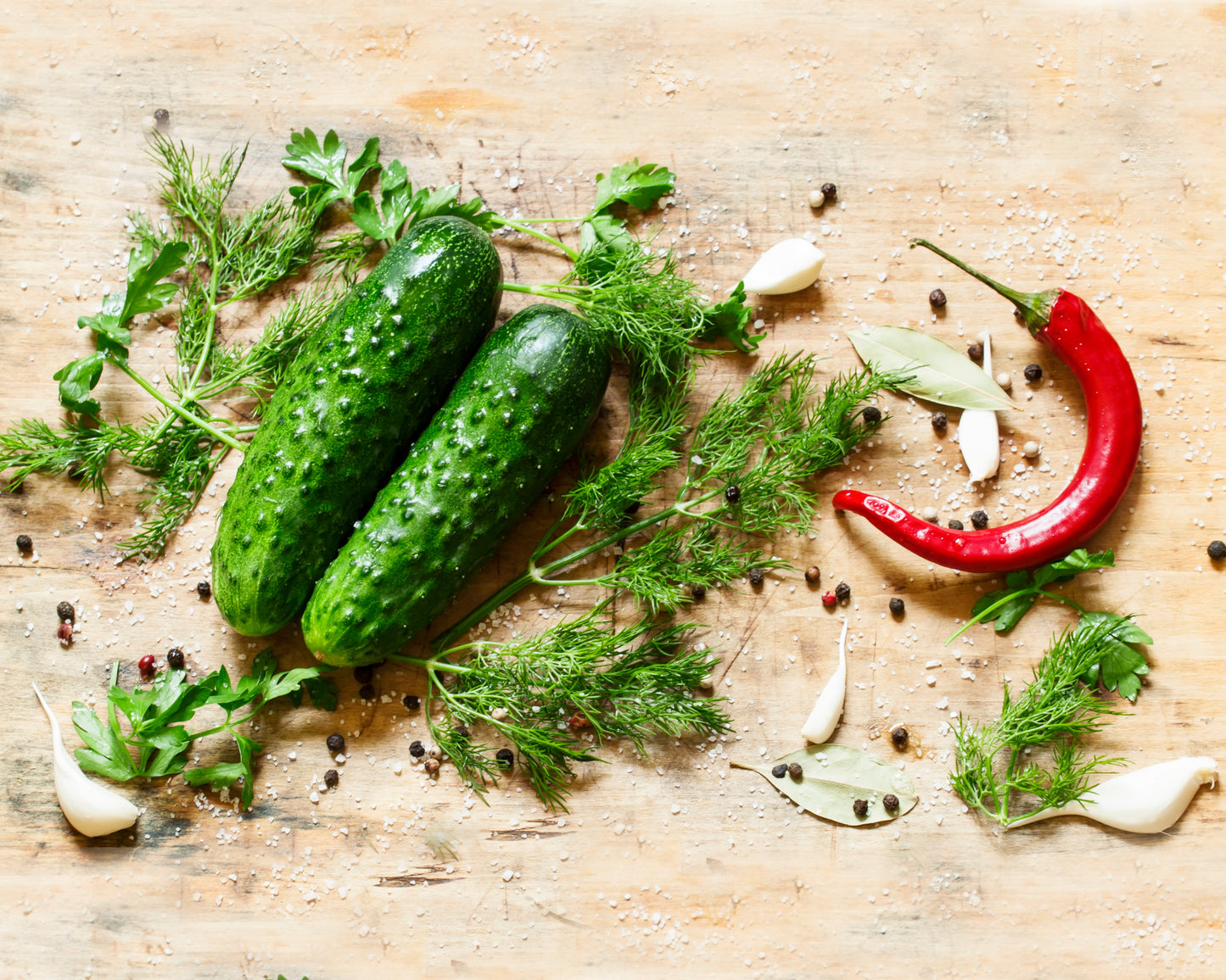 Herb, Dill: Mammoth Long Island *Overstock*