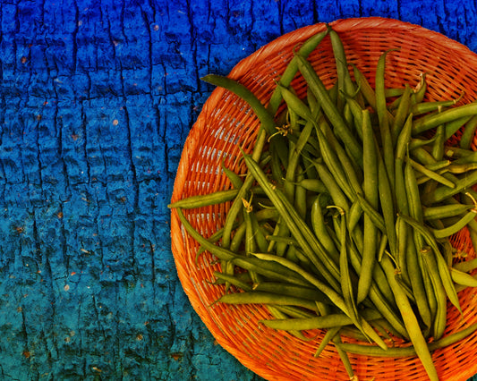 Bean, Pole: Old Homestead (Kentucky Wonder)