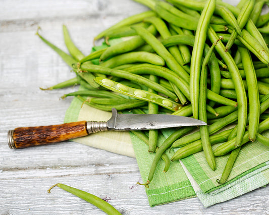 Bean, Pole: Old Homestead (Kentucky Wonder)