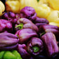 Pepper, Sweet: Purple Beauty