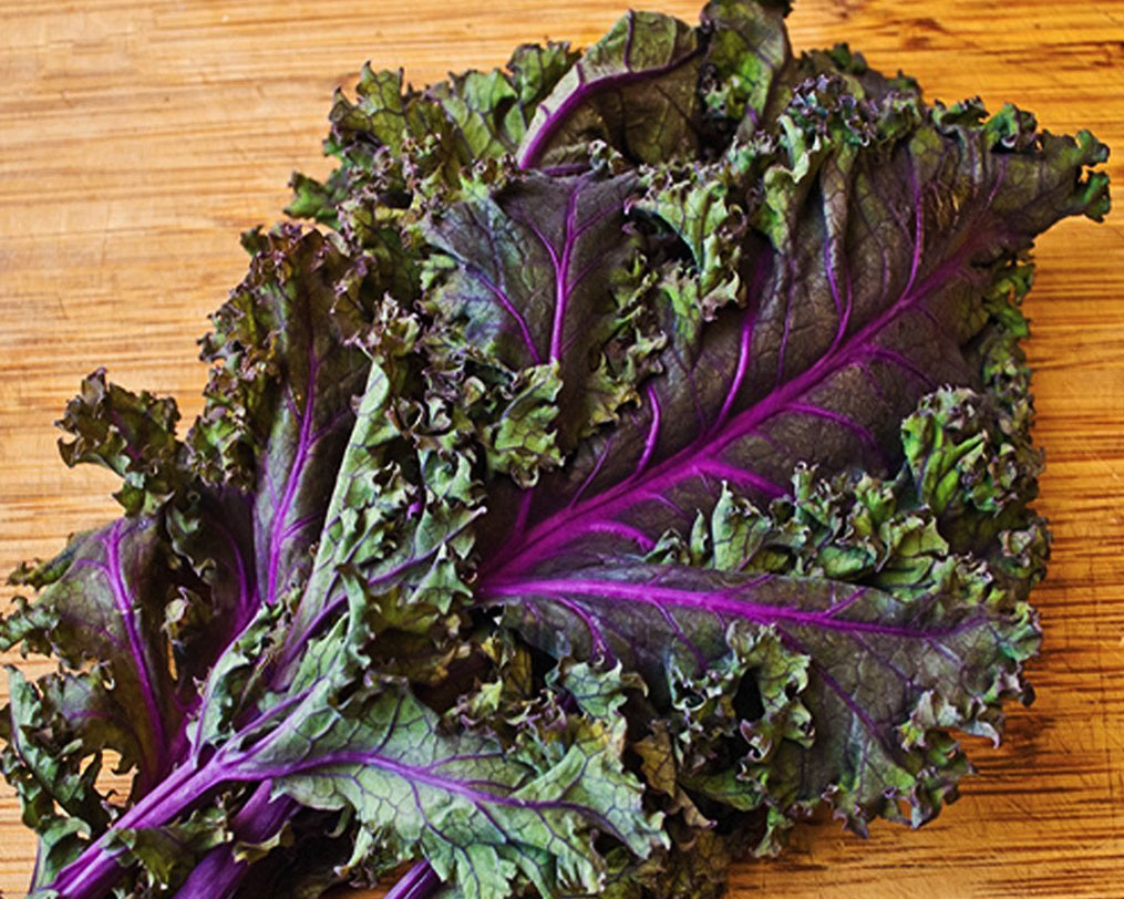 Kale: Red Ursa
