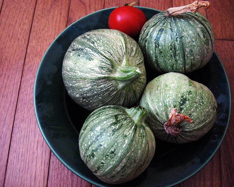 Squash, Summer: Ronde De Nice