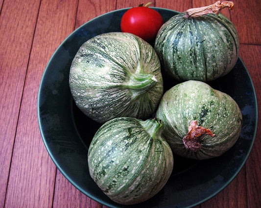 Squash, Summer: Ronde De Nice
