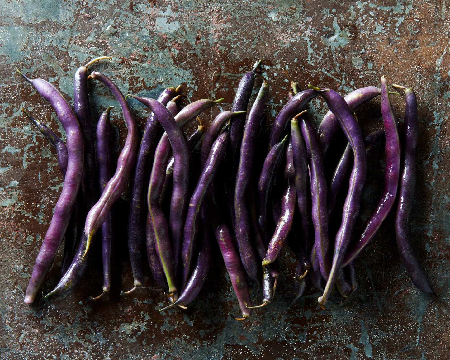 Bean, Bush: Royal Burgundy