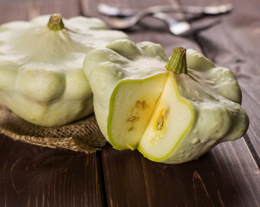 Squash, Summer: White Scallop