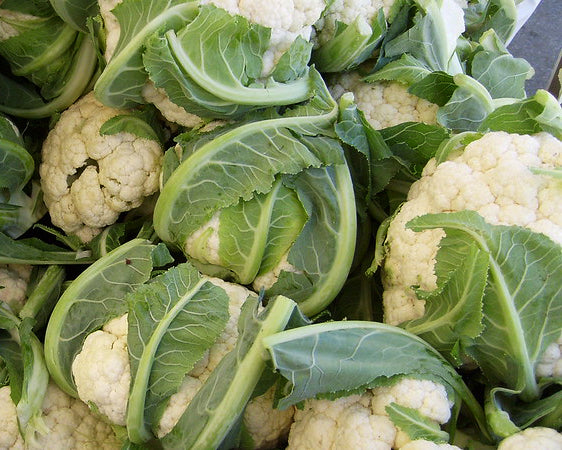 Cauliflower: Self Blanching