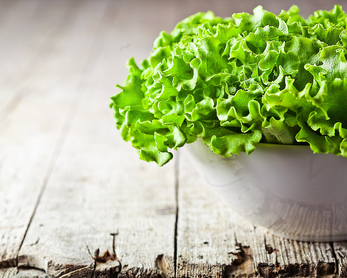 Lettuce: Henderson's Black Seeded Simpson