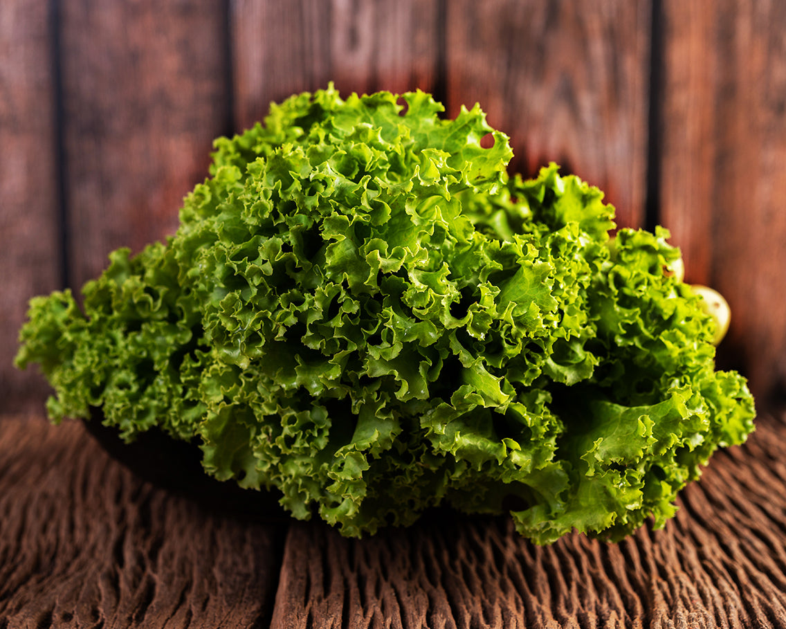 Lettuce: Henderson's Black Seeded Simpson