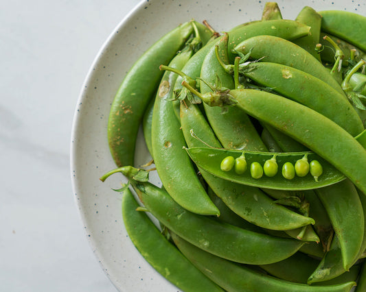 Pea: Oregon Sugar Pod