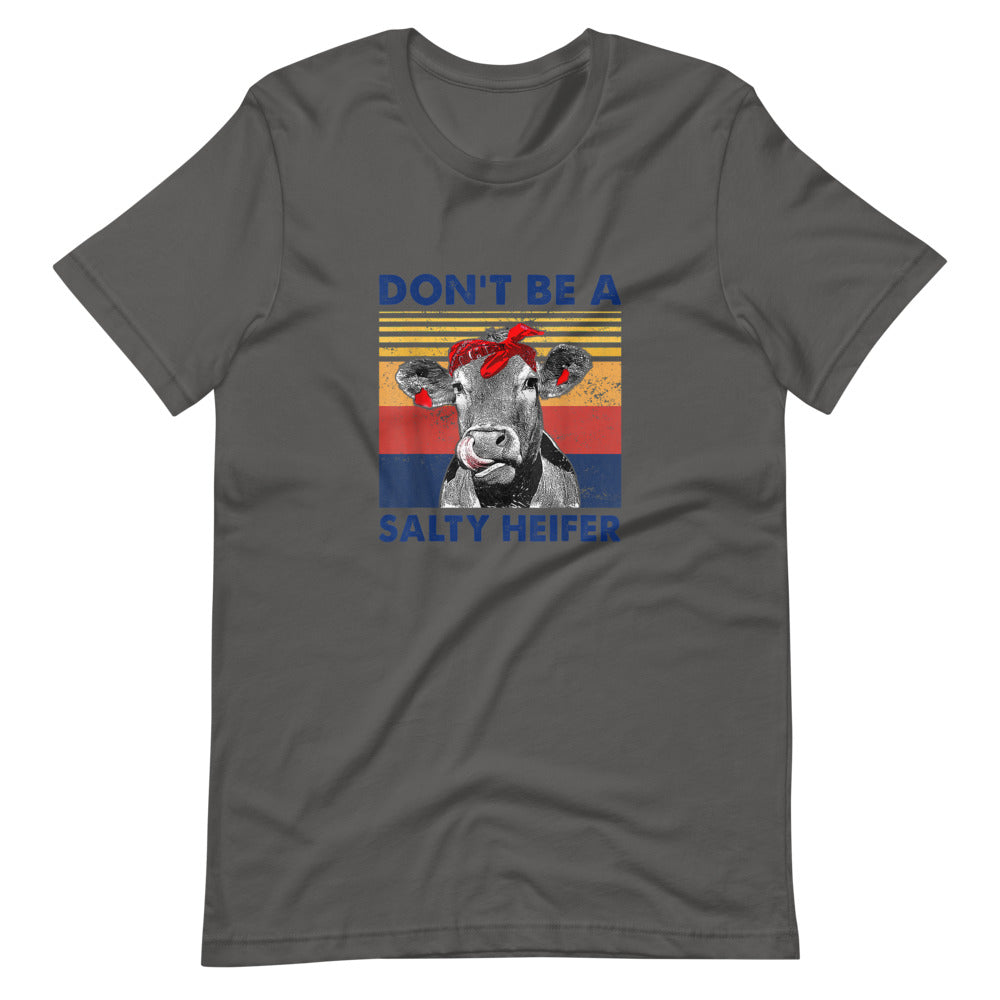 Don't Be A Salty Heifer Tee Shirt (6149728338075)