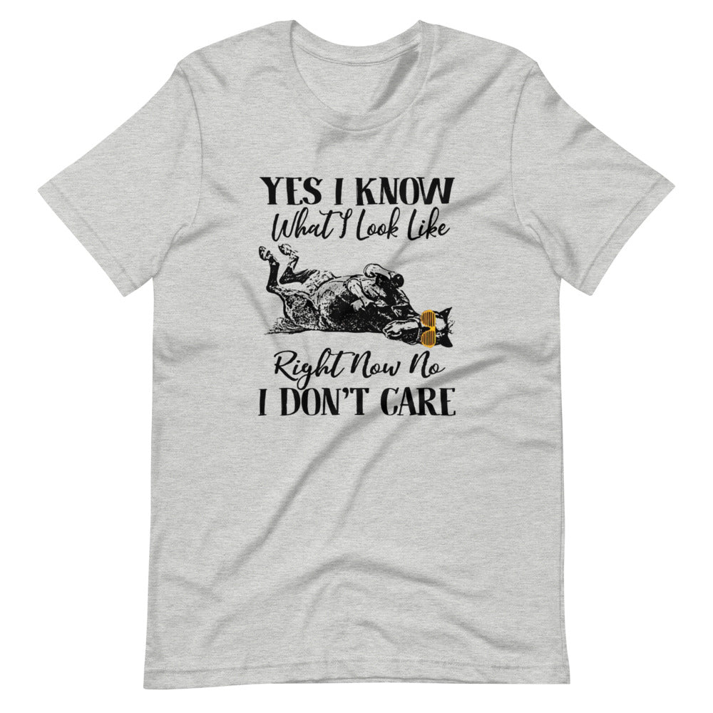Yes I Know What I Look Like Tee Shirt (6149681119387)