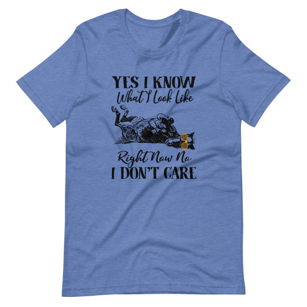 Yes I Know What I Look Like Tee Shirt (6149681119387)