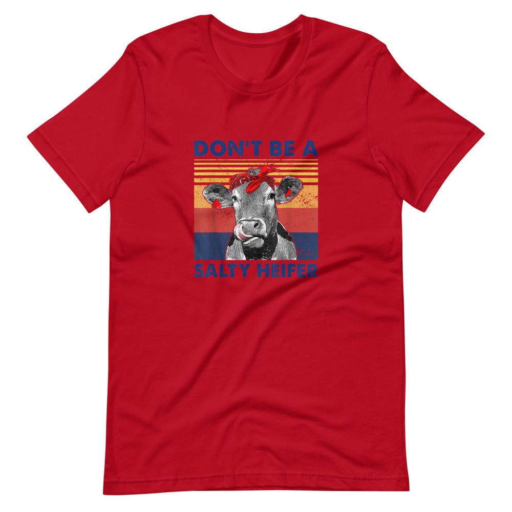 Don't Be A Salty Heifer Tee Shirt (6149728338075)