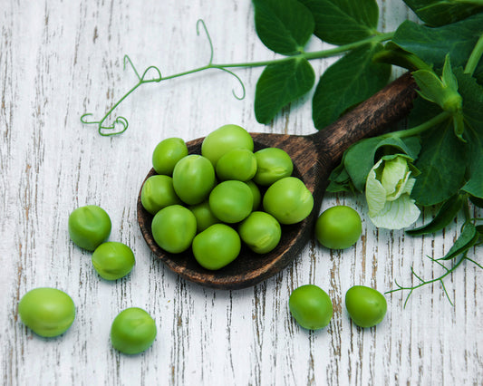 Pea: Wando Heat Tolerant