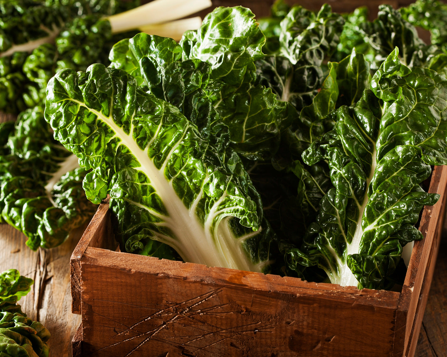 Swiss Chard: Fordhook Giant White