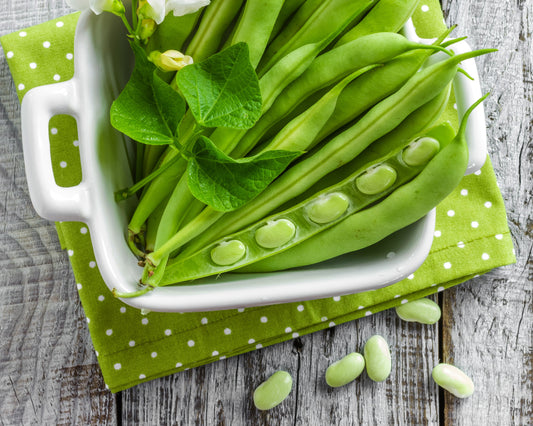 Bean, Runner: White Half