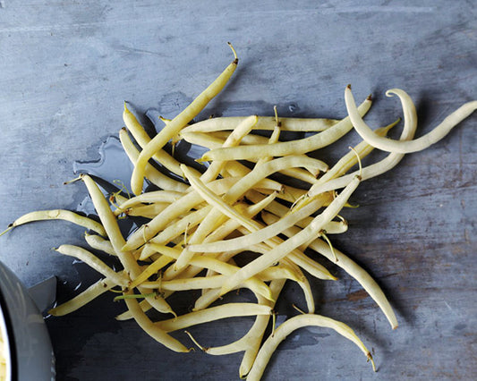 Bean, Bush: Yellow Pencil Pod