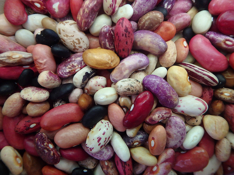 Basic Bean Types