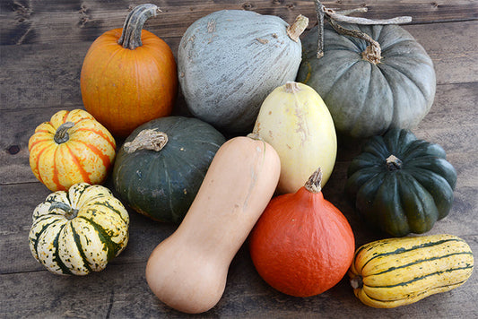 How to grow winter squash