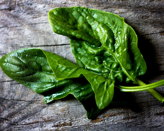 How to grow spinach