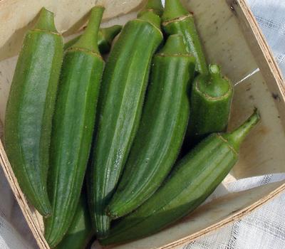 How to grow okra