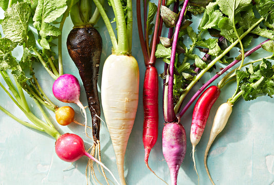 How to grow radishes