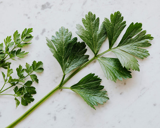 How to grow leaf parsley