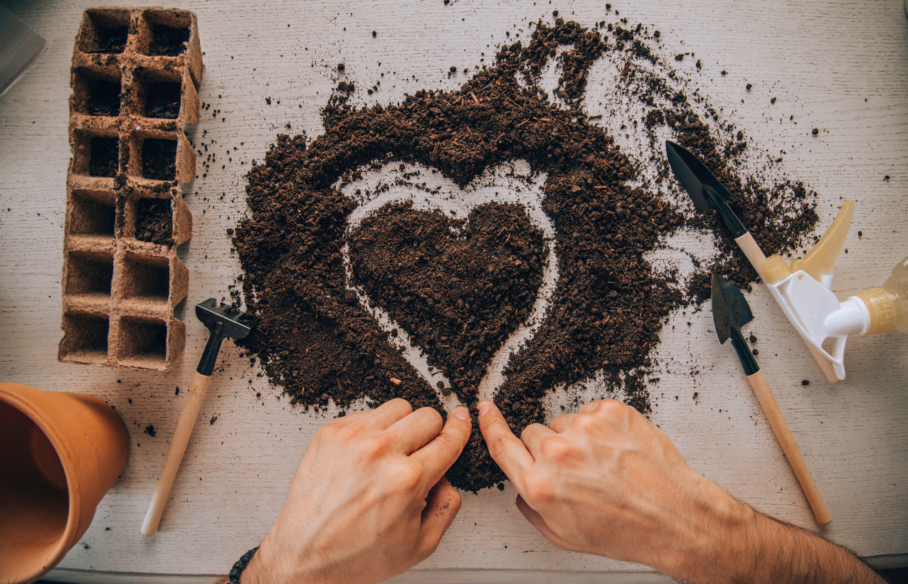 Heirloom vintage seed co 