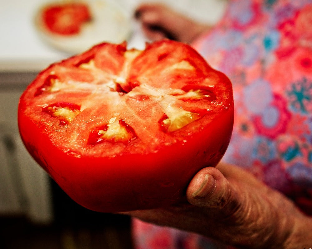 Tomato: Patriot Beefsteak Mix