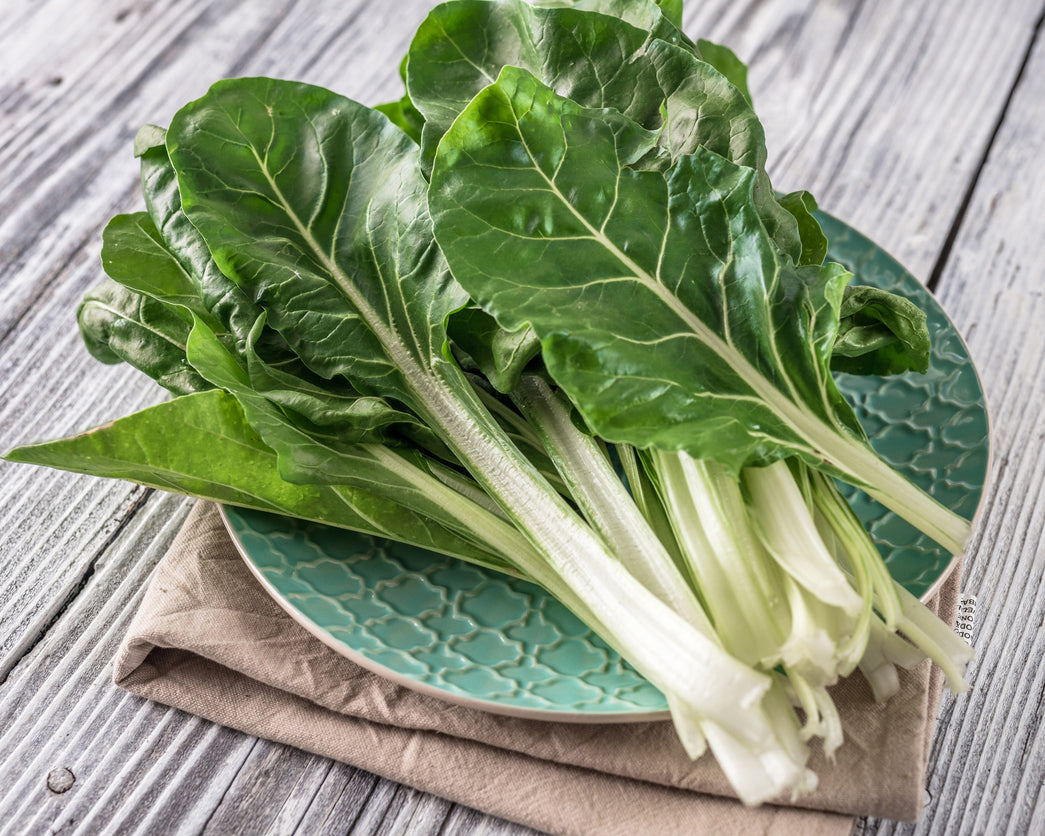 Swiss Chard: Fordhook Giant White