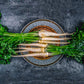 Herb, Parsley: Hamburg Rooted