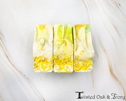 Gardeners Grit Hand Soap: Minty Sunshine
