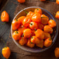 Pepper, Hot: Habanero- Orange