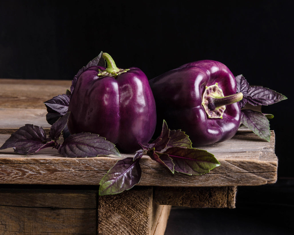 Pepper, Sweet: Purple Beauty