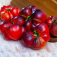 Tomato: Red Beauty