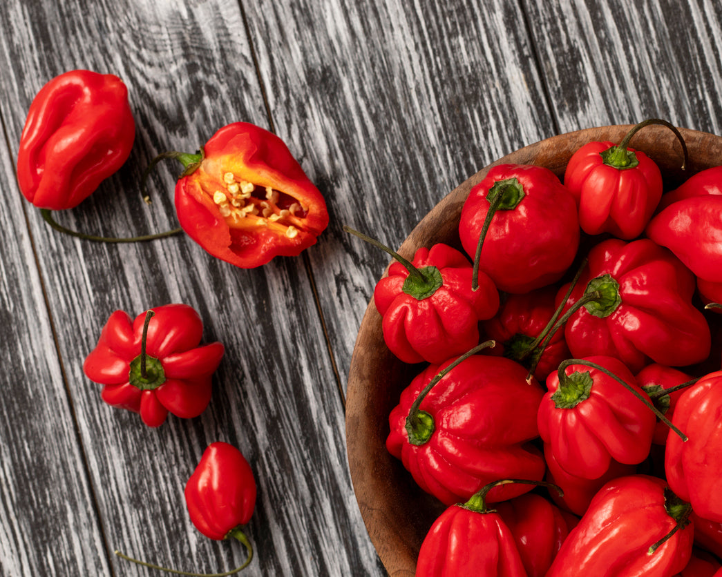 Pepper, Hot: Habanero- Red *Overstock*